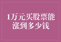 一万块钱投入股市能翻几倍？