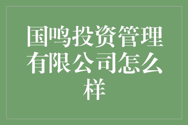 国鸣投资管理有限公司怎么样