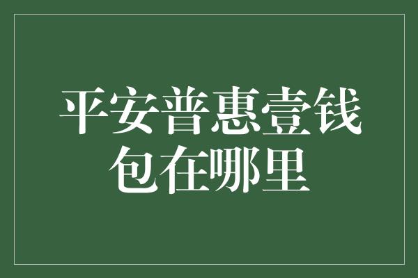 平安普惠壹钱包在哪里