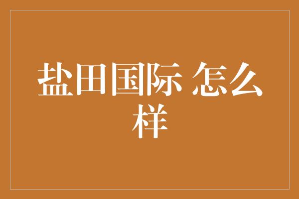 盐田国际 怎么样