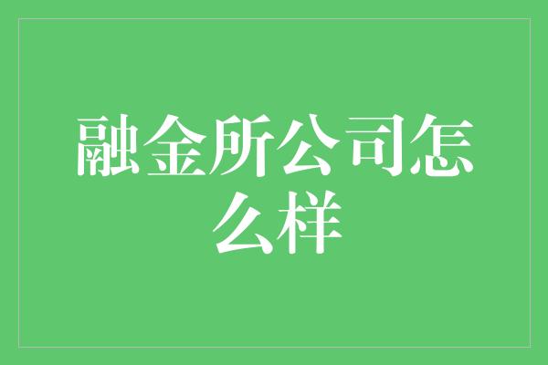 融金所公司怎么样